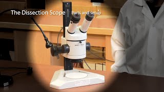 Dissecting Microscope Parts and Setup [upl. by Ettennaej953]