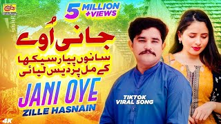 Jani Oye  NEW OFFICIAL SONG  Zille Hasnain  Sanu Piyar Sikha Ke Mal Pardes Liyae [upl. by Davidson]