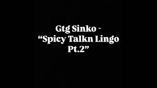 Gtg Sinko  “Spicy Talkn Lingo Pt2” Official Audio [upl. by Eiro697]