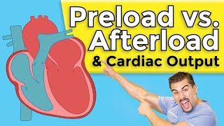 Cardiomyopathy  Preload vs Afterload [upl. by Acceber936]