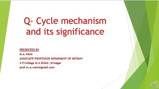 Q Cycle mechanism and significance [upl. by Eixam]