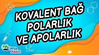 C3  KOVALENT BAĞ  POLARLIK VE APOLARLIK [upl. by Elsinore407]