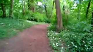 Mannheim Waldpark  Green Running Track [upl. by Aelgna]