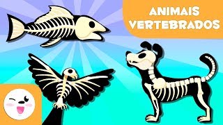 ANIMAIS VERTEBRADOS para crianças  Mamíferos aves répteis peixes e anfíbios [upl. by Loresz]