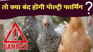 तो बंद हो जायेगा मुर्गी पालन  Poultry Feed Formulation [upl. by Spitzer]