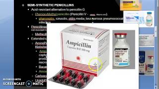 Pharmacology 789 b Semi Synthetic Penicillin Phenoxy methyl Cloxacillin ampicillin amoxicillin [upl. by Janik]