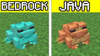 Minecraft Java Vs Bedrock 2022 [upl. by Eylrahc675]