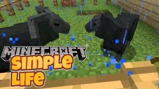 Minecraft  Simple Life  3 MAKIN PAPER [upl. by Sualocin]