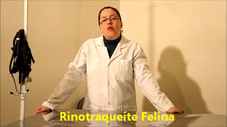 RINOTRAQUEÍTE FELINA  Doença do Trato Respiratório  CUIDADO [upl. by Kassia]