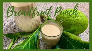 How To Make BREADFRUIT Punch Jamaican Style Cooking With TZC [upl. by Dirgis]