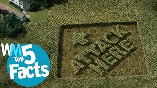 Top 5 Weirdest Crop Circle Facts [upl. by Adalai110]