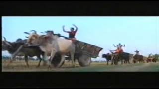 Jin jao tuh risake dil mor churake in tharu Sanghari Film [upl. by Fauman]