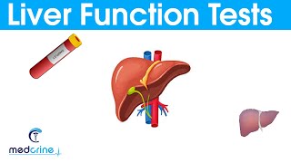 LIVER FUNCTION TESTS LFTsEXPLAINED [upl. by Isidro224]