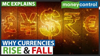 These Are The 5 Factors That Affect A Currencys Value  Why Currencies Rise amp Fall  Explained [upl. by Leuqcar]