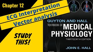 Guyton and Hall Medical Physiology Chapter 12 REVIEW ECG interpretation and vectors  Study This [upl. by Wheeler]