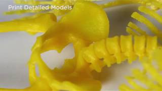 PolyDissolve™ S1  PLA Skeleton [upl. by Saretta]