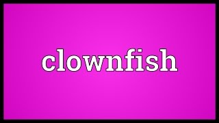 Clownfish Meaning [upl. by Arick816]