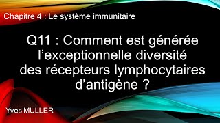 Chap 4  Le système immunitaire  Q11  Comment est générée la diversité des récepteurs dantigène [upl. by Berl655]