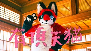 マグの『有頂天猫』 着ぐるみ 踊ってみた [upl. by Yanetruoc977]