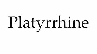 How to Pronounce Platyrrhine [upl. by Wexler]