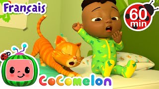 Voici comment 🪥 CoComelon  LHeure de Cody  Chansons pour bébés [upl. by Arahsat371]