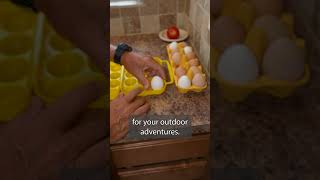 Why NOT Refrigerate Chicken Coop Eggs Right Away [upl. by Ardeahp]