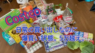 【コストコ】11月もコストコ行ってきた！値引きが結構あった！日常の買い出しで5万越え、、、 [upl. by Bernt]