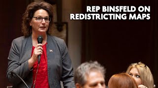 Rep Binsfeld on Redistricting [upl. by Naerb39]