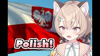 Pankos experience with Polish [upl. by Peppel528]