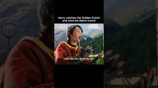 Harry catches the Golden Snitch and wins his debut match  Harry Potter [upl. by Aryhs]