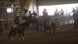 World Series of Team Roping Qualifier San Carlos AZ 14 Short Go [upl. by Ycnan656]