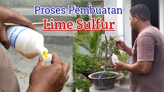 Proses Pembuatan Lime Sulfur [upl. by Mile785]