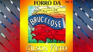 BRUCELOSE  Sede de te Amar com letra [upl. by Ecerehs]