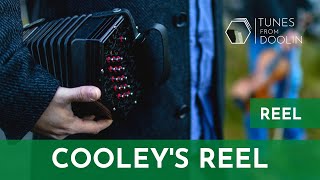 COOLEYS REEL Reel  Irish Music Tunes on Concertina 🎵☘️ [upl. by Nytsuj980]