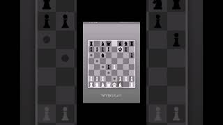 Scotch Gambit Chess Trap chess shorts [upl. by Macur]