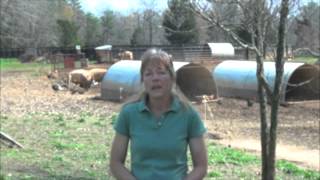 Flat Rock Farm New Business Start Up [upl. by Hege]