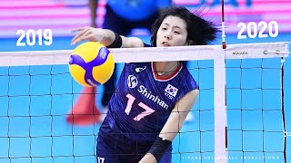 Jaeyeong Lee 이재영  Fantastic Volleyball SPIKES 2019  2020  Womens Volleyball [upl. by Amethist]