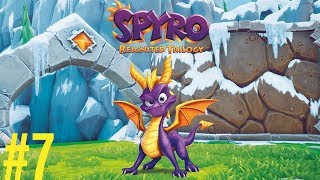 Spyro Regnited Trilogy Il dipinto nascosto 100 COMPLETATO [upl. by Madella834]