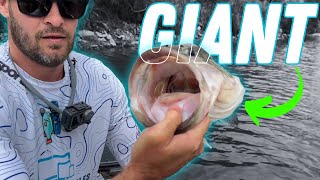 I Found Another GIANT BASS  BEST DAY BASS FISHING AT THIS DAM BY FAR Bass Fishing South Africa [upl. by Harcourt]