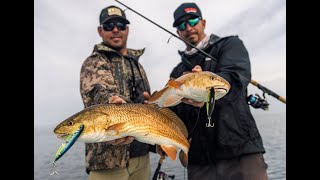 Redfish Mania in Steinhatchee Florida  YoZuri Episode 2 [upl. by Larkin]