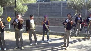 Mariachi Los Camperos de Zacatecas quotPompas Ricasquot [upl. by Atile]