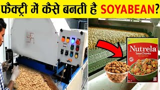 फैक्ट्री में सोयाबीन कैसे बनती हैं  How soyabean is made in factory [upl. by Zilber]