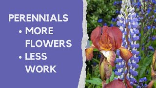 Perennials made easy  how to choose and grow the best plants for your borders [upl. by Eelirak49]