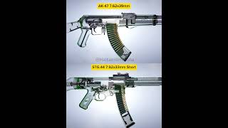 Sturmgewehr 44 vs Avtomat Kalashnikova [upl. by Elleinnad]