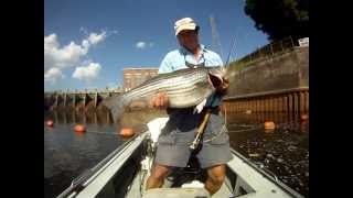 Stripers on the Redington 7 wt Fly rod [upl. by Ahl30]