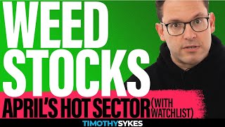 Weed Stocks April’s Hot Sector with Watchlist [upl. by Ethelyn]