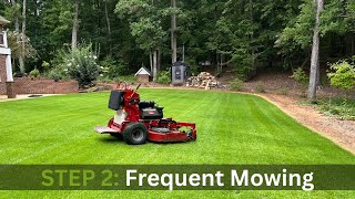 Mow New Turf  How to Make Zoysia Thicker  Seeded Zenith Zoysia [upl. by Eioj416]