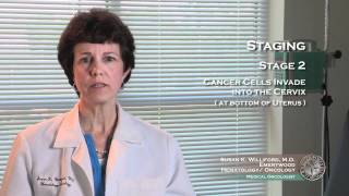 Uterine Cancer Staging 3 [upl. by Llehsar]