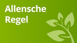 Die Allensche Regel  Biologie  Ökologie [upl. by Kohl]