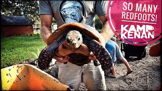 Redfoot Tortoise Habitat Tutorial [upl. by Tegan]